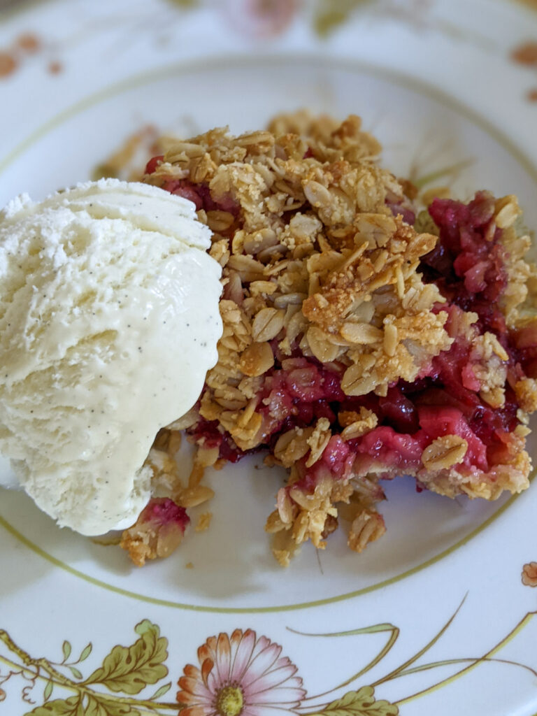 A serving of berry rhubarb crisp with vanilla ice cream on a plate.