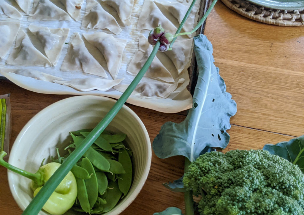 Prepped homemade potstickers and fresh veggies to stir fry.