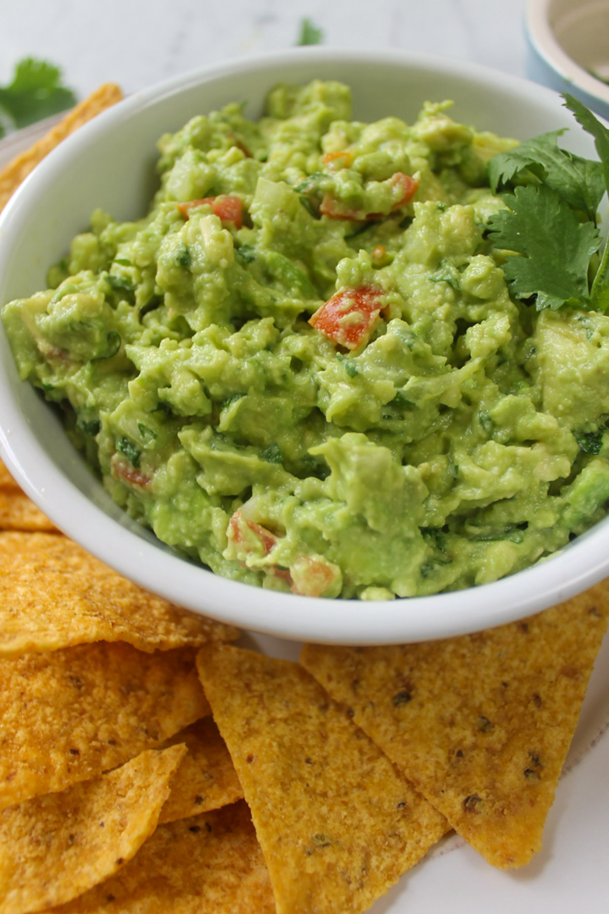 A bowl of Guacamole with tortilla chips.
