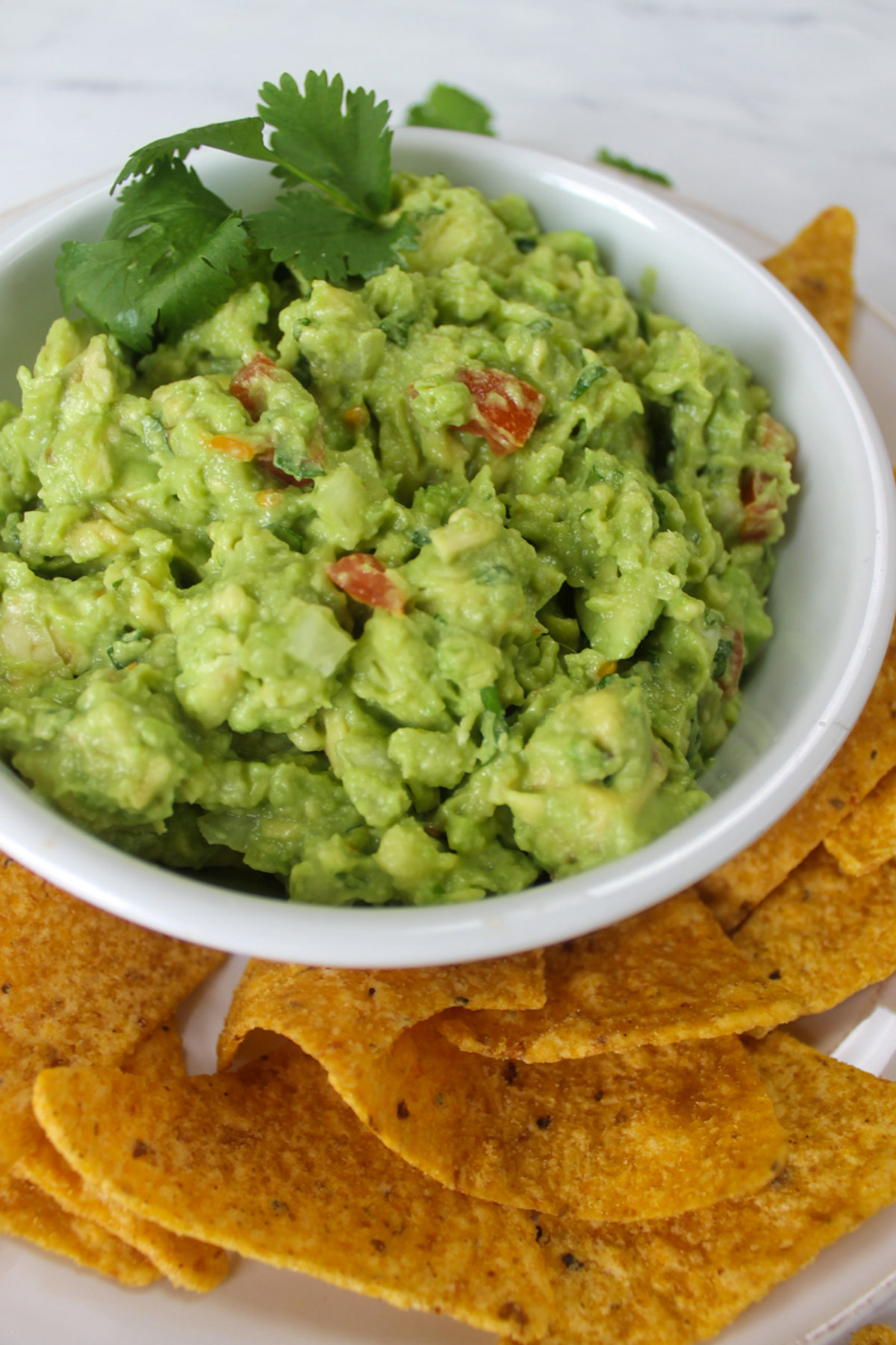 A bowl of homemade guacamole with onion, garlic, tomato and cilantro.