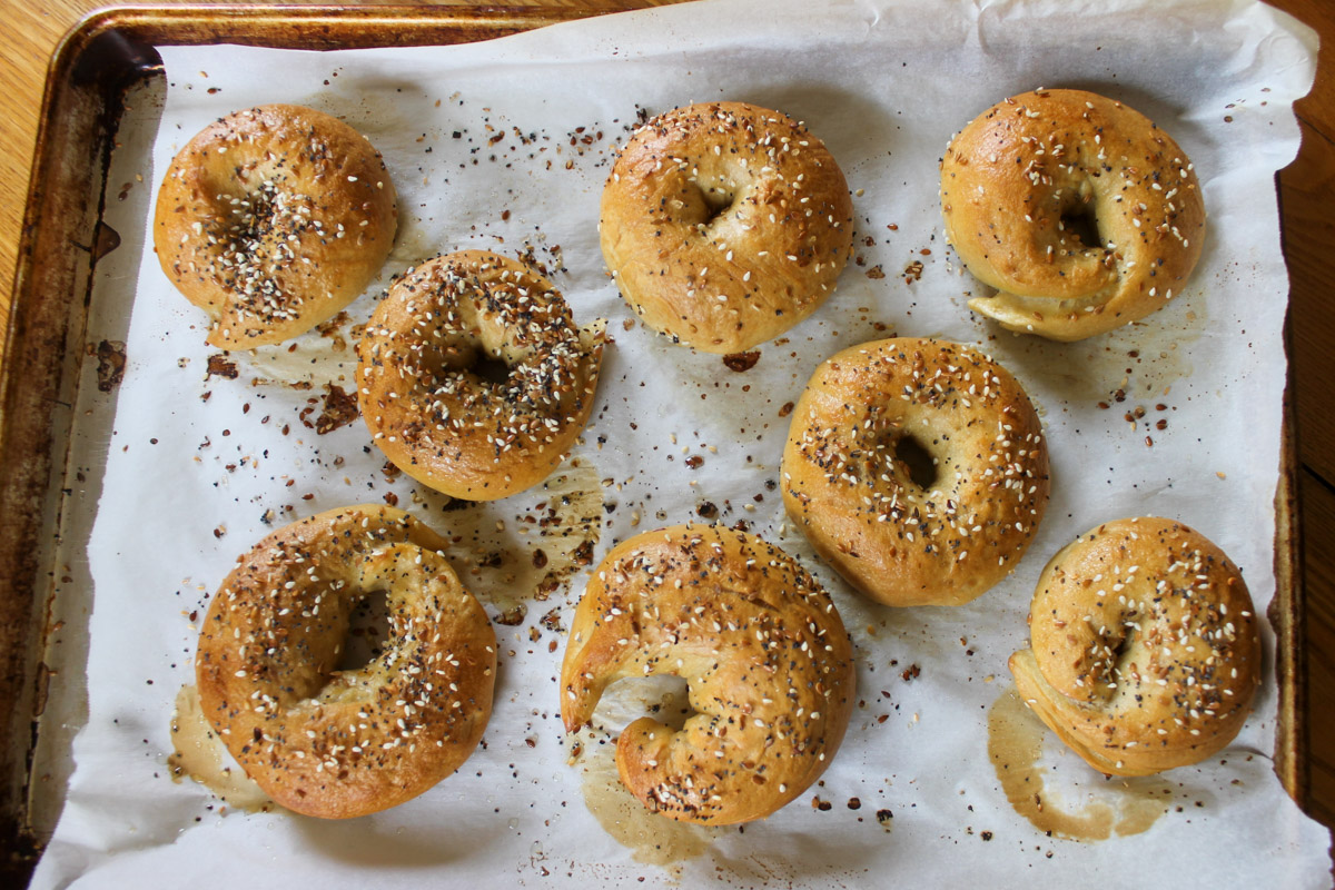 Pan of homemade bagels for salmon avocado bagels.