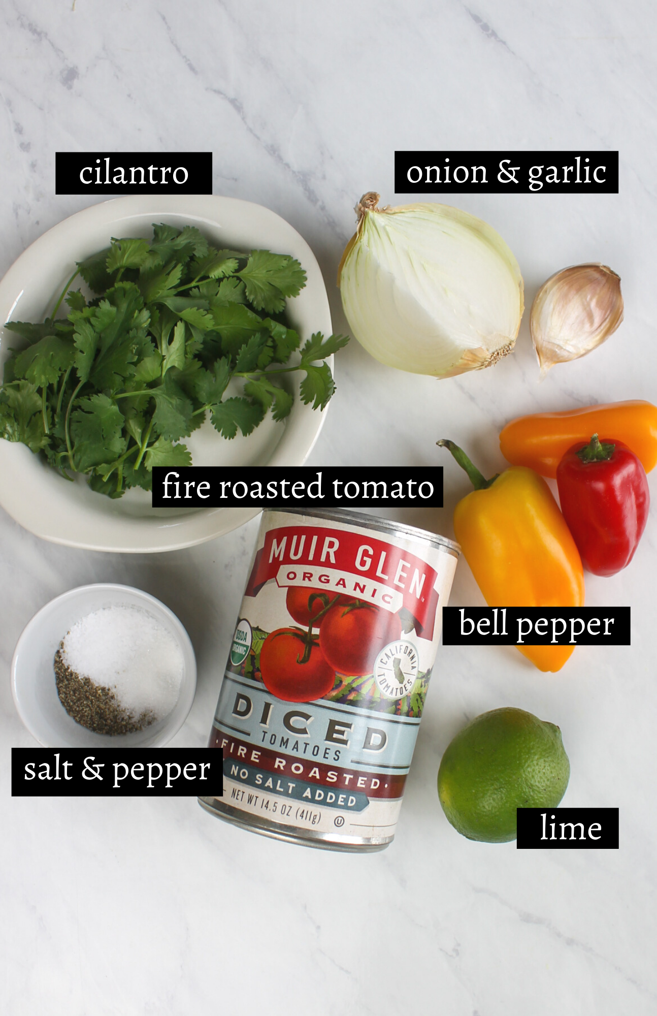 Labeled ingredients for 5 Minute Salsa, fire roasted tomatoes, peppers, onion, garlic, lime, cilantro, salt and pepper.