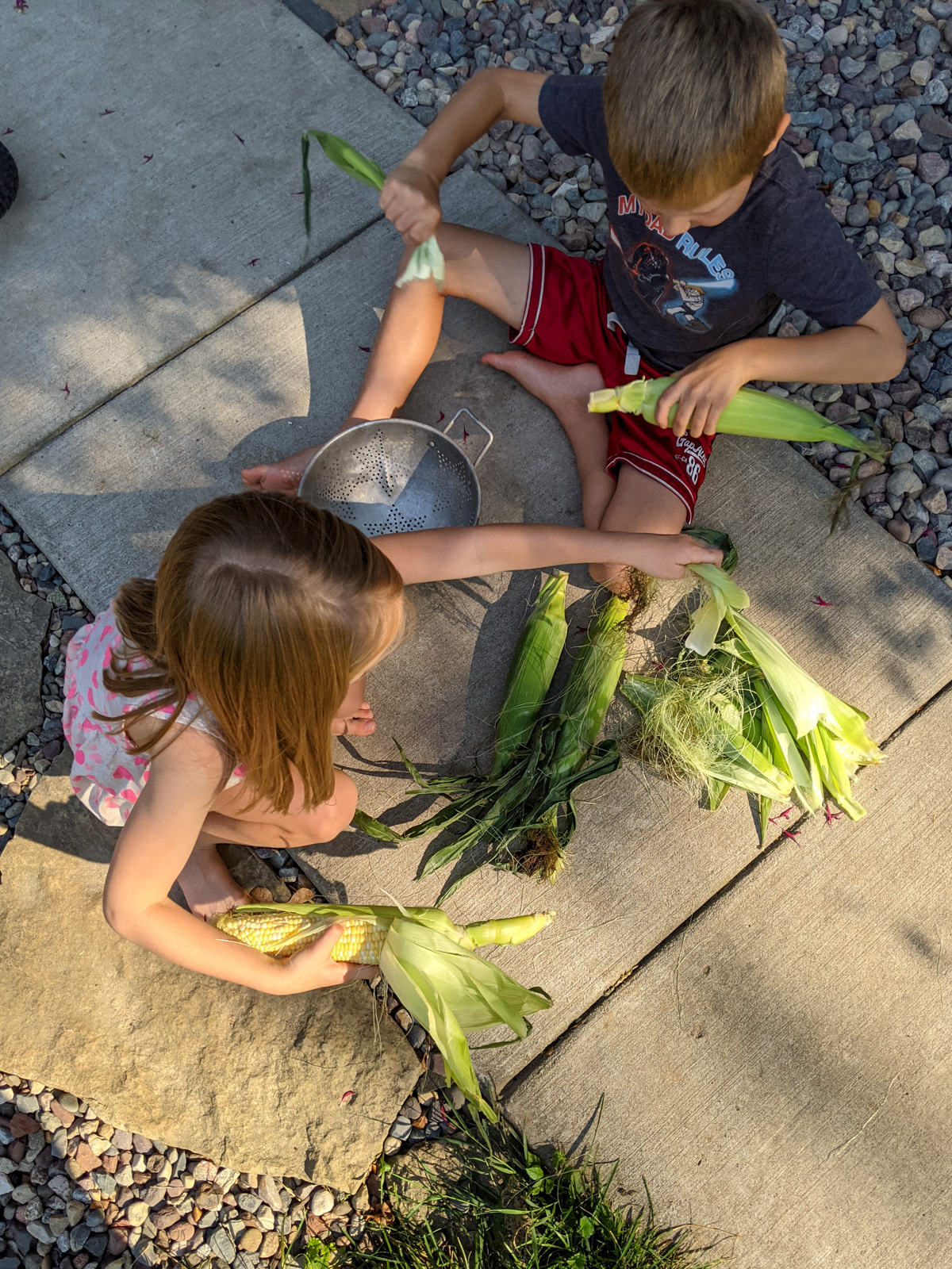 An overhead view of kids shucking corn on the cob.