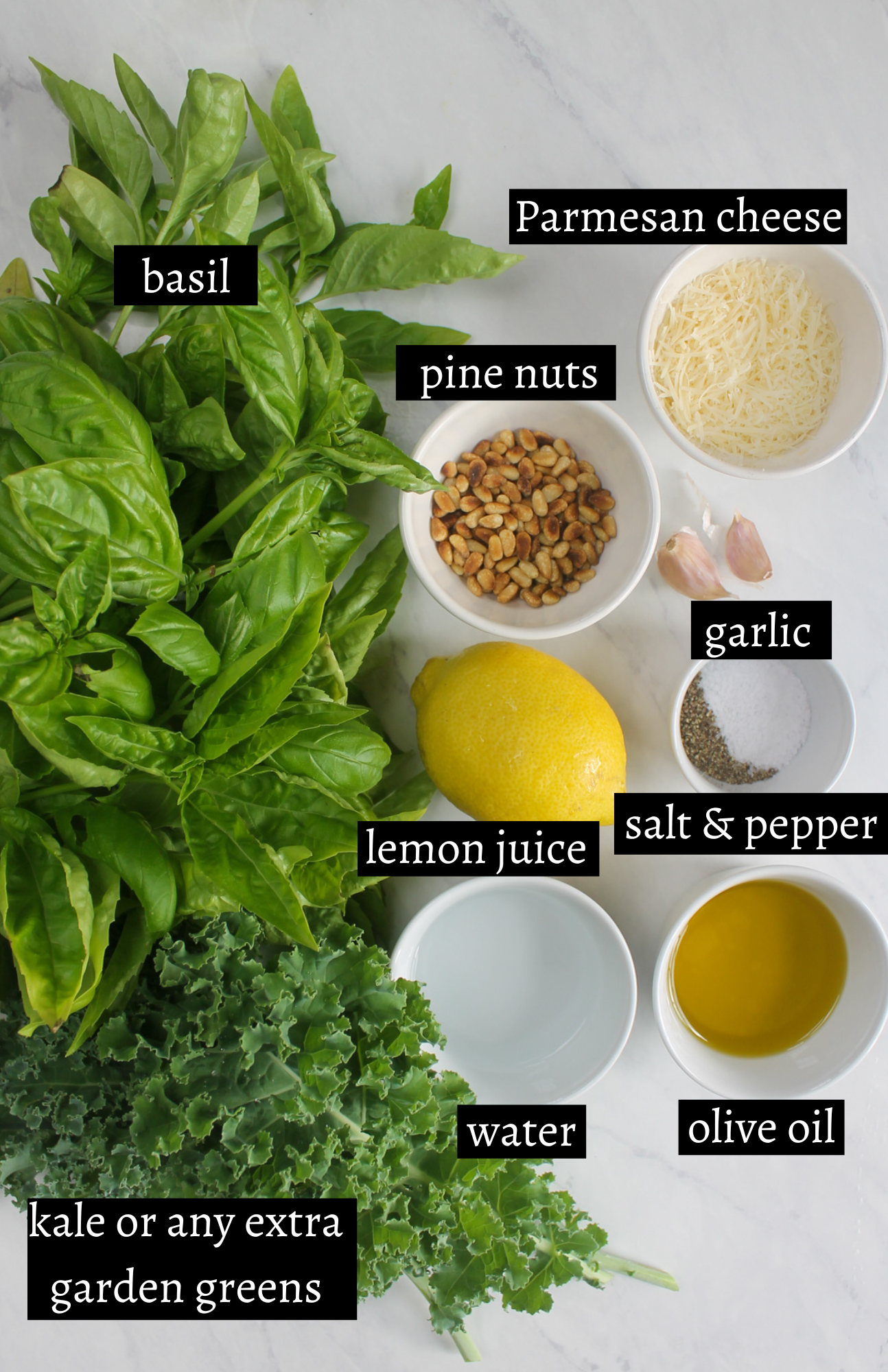 Labeled ingredients for garden pesto with basil and extra garden greens.