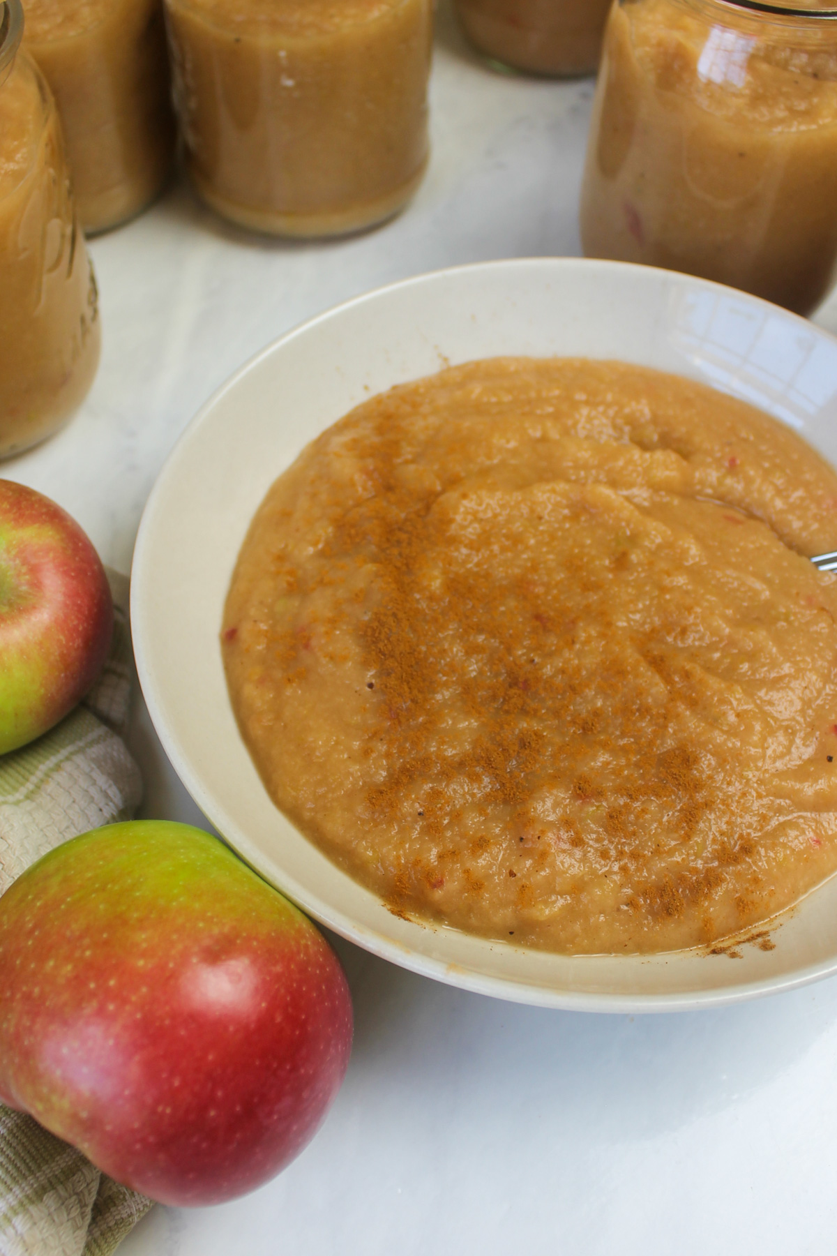 A white bowl of applesauce sprinkled with cinnamon.