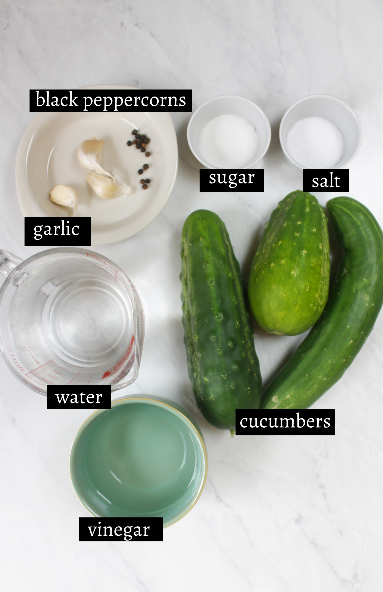 Labeled ingredients for small batch refrigerator pickles.
