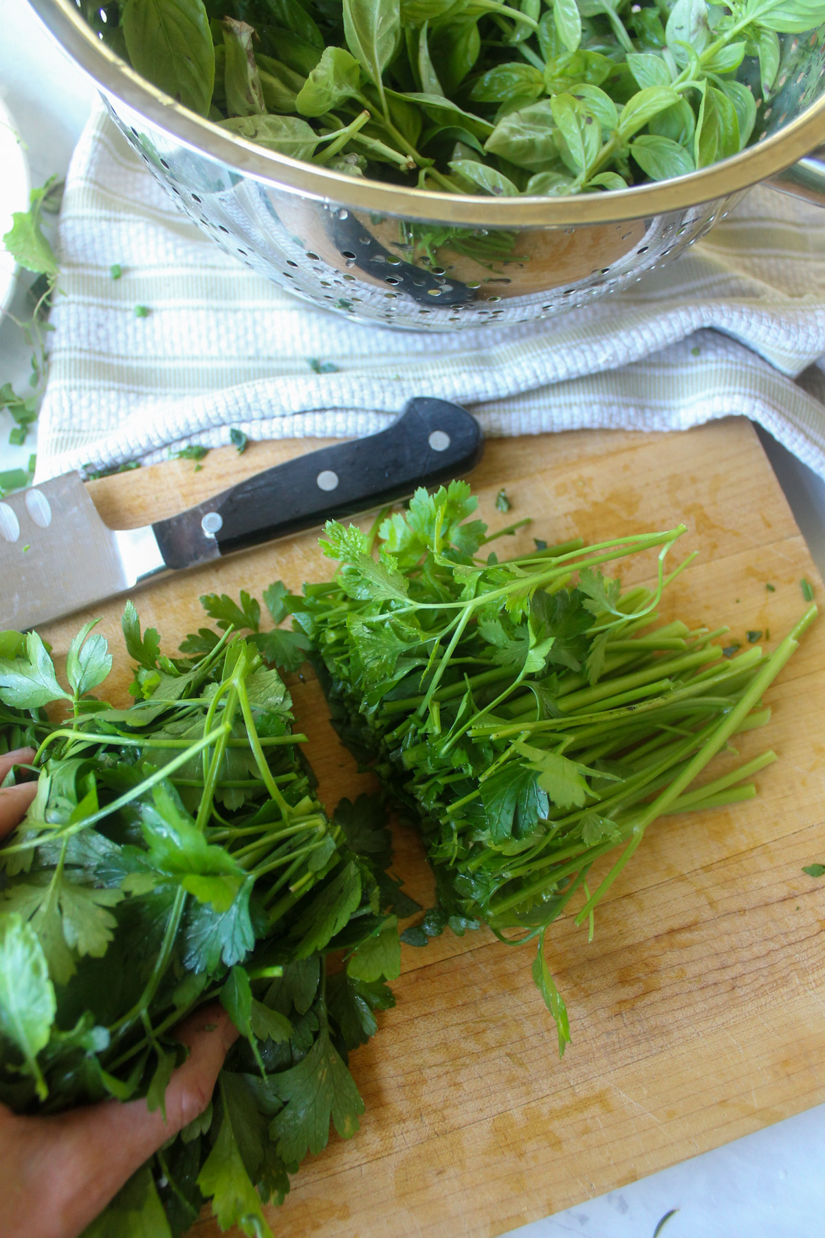 Chopping the stems from a bunch of parsley.