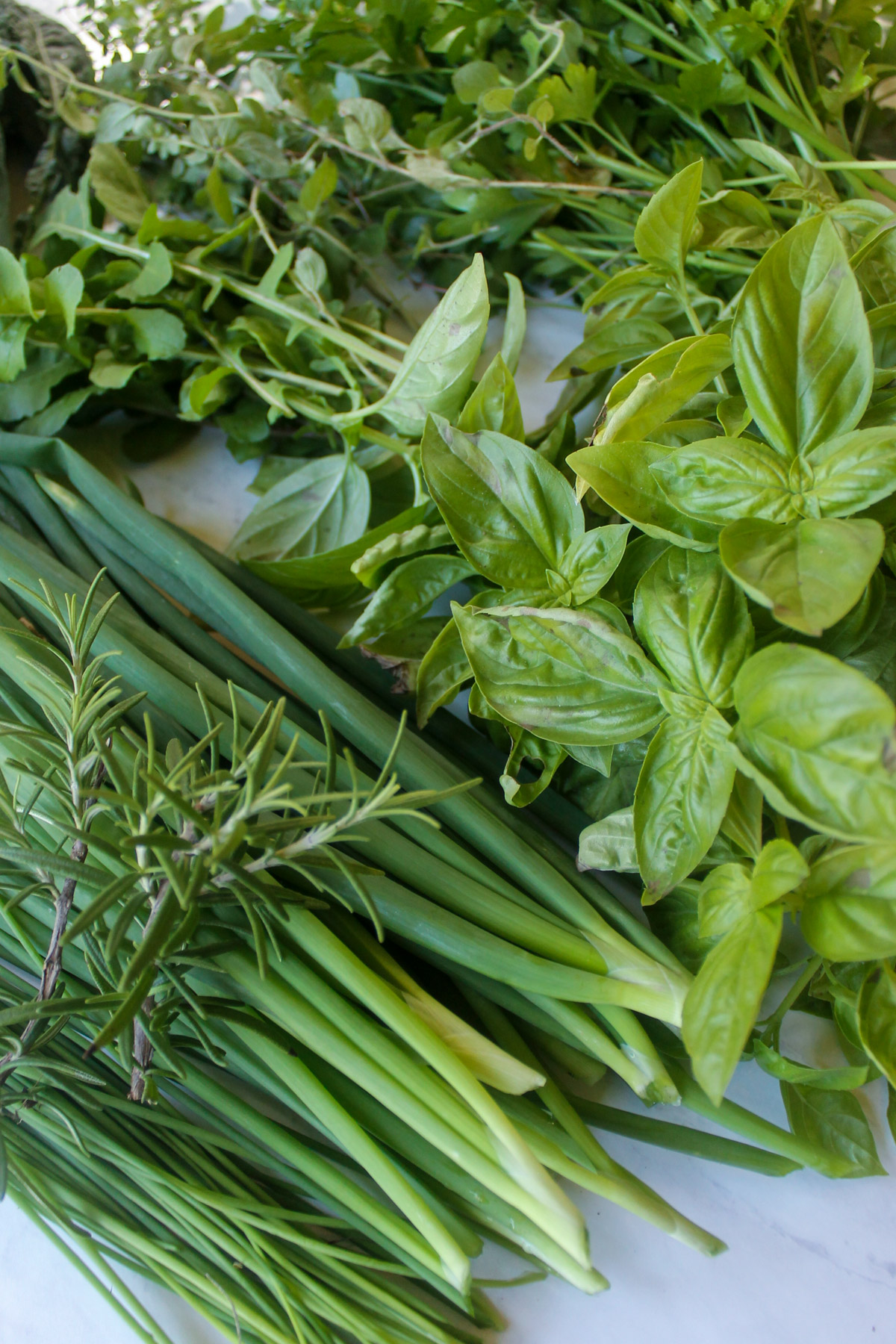 Fresh herbs from the garden including scallions, basil, rosemary and oregano.