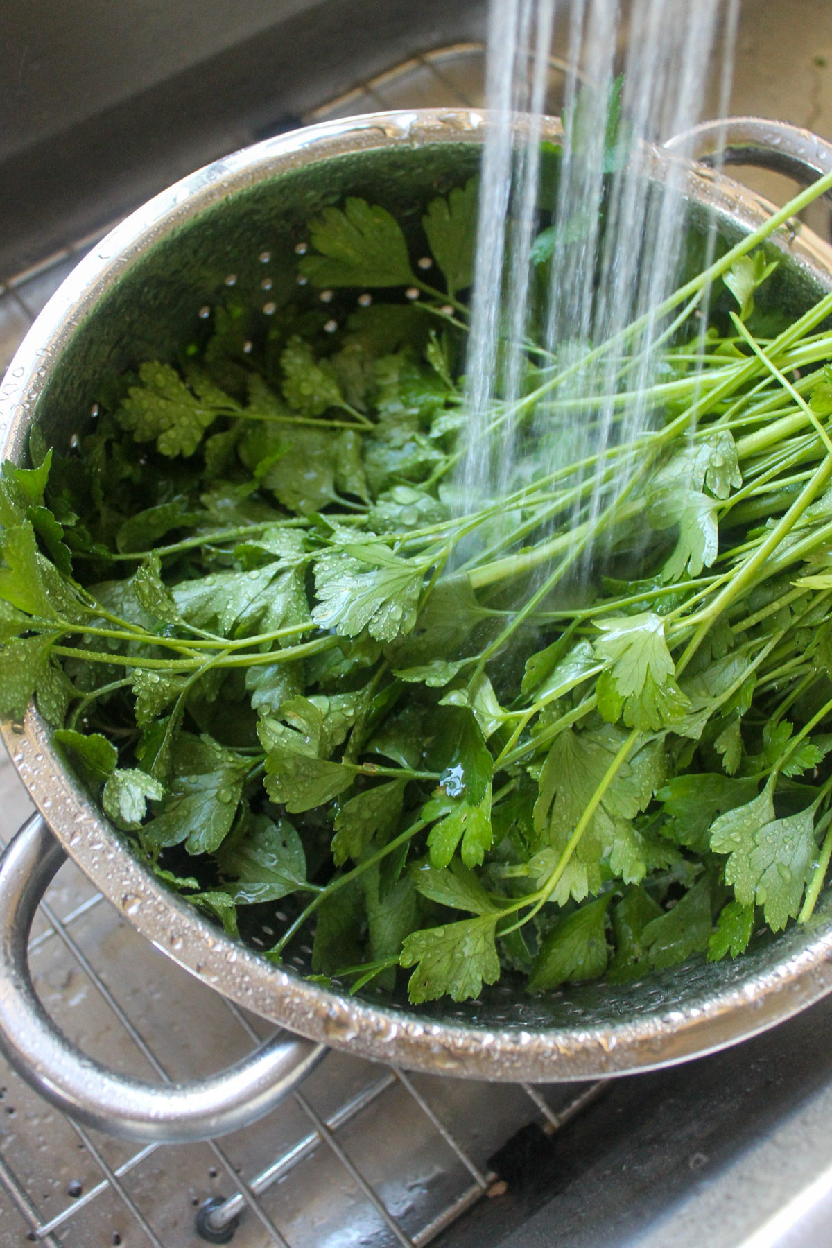 A colander of fresh herbs being washed in the sink.