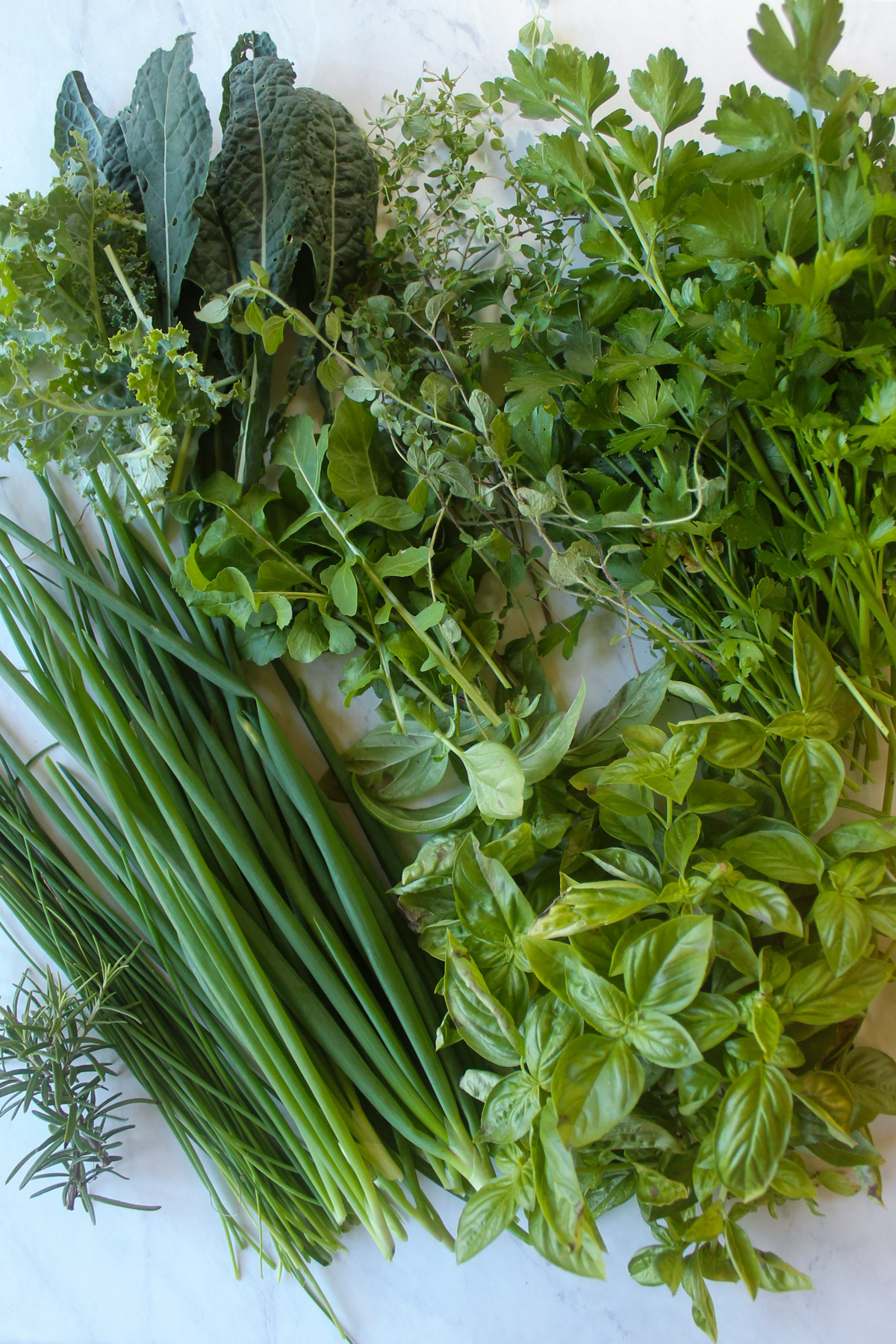 Piles of each fresh herb including basil, kale, scallion, parsley, oregano, thyme and rosemary.