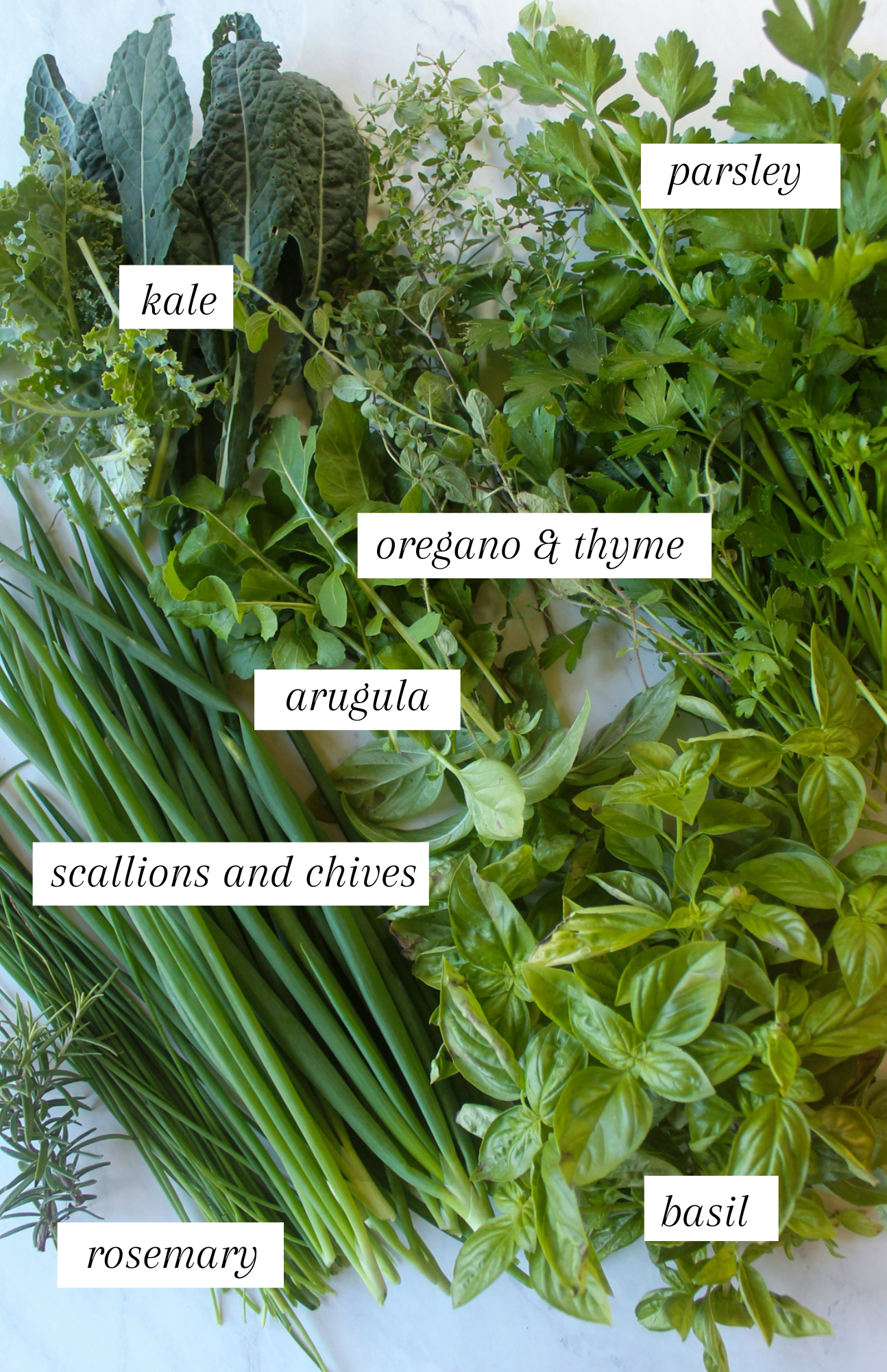 Labeled ingredients for fresh herbs and greens from the garden to be frozen.