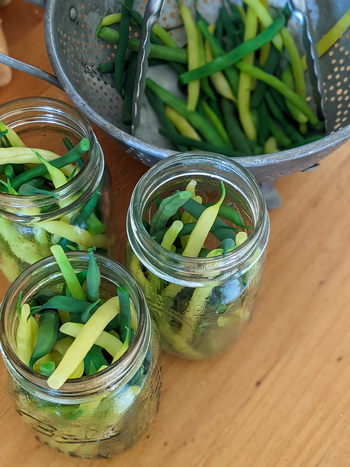 Blanched green and yellow beans in 3 glass jars with a colander of more beans.