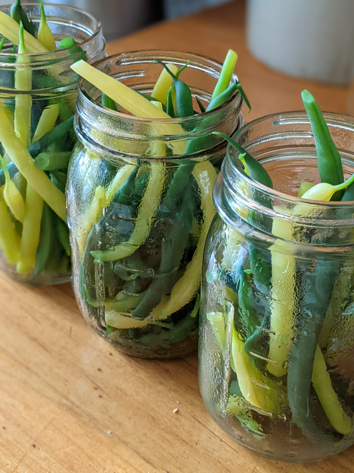 Three jars of blanched green beans ready to freeze.