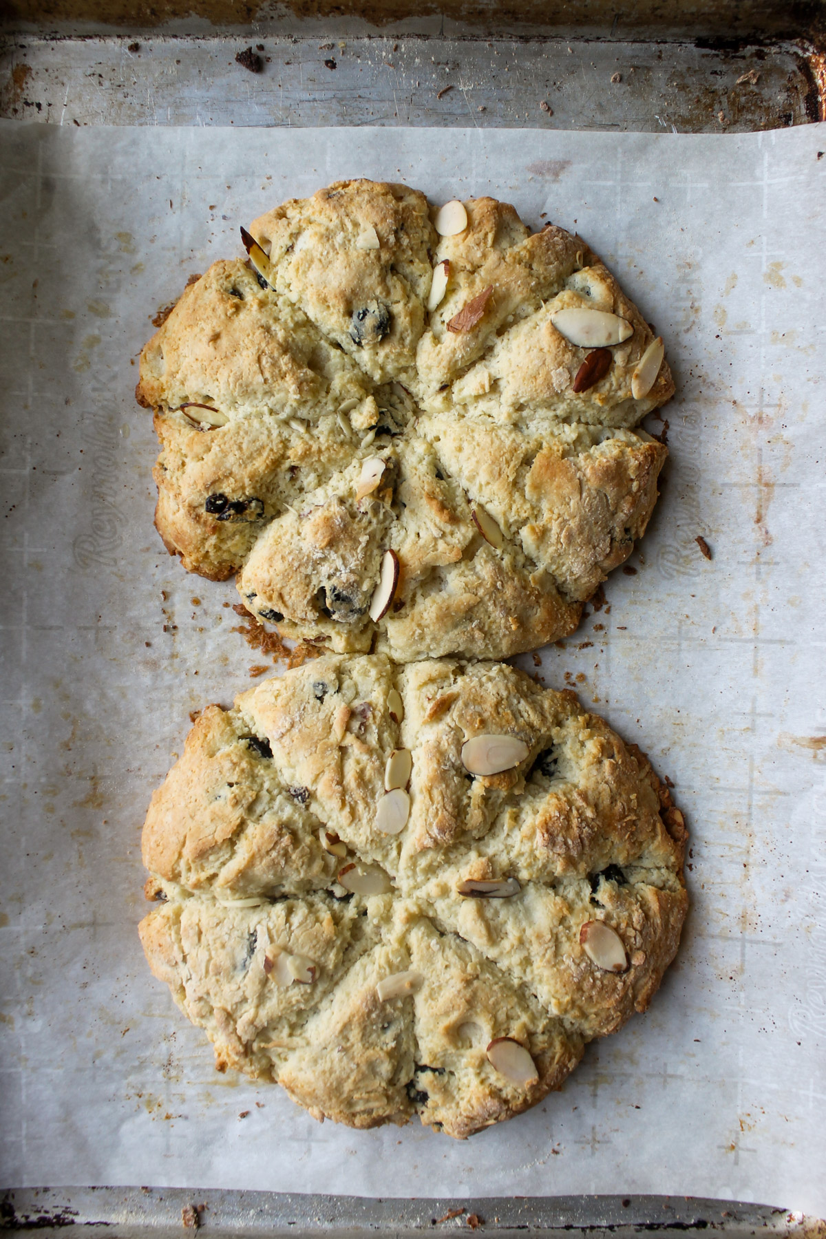 Baked scones cut into wedges from 2 circles.