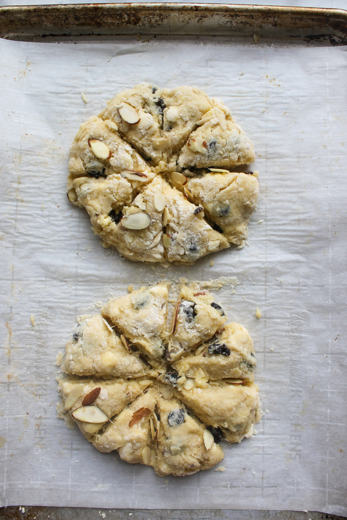 Scone dough on parchment paper in two round disks cut into wedges.