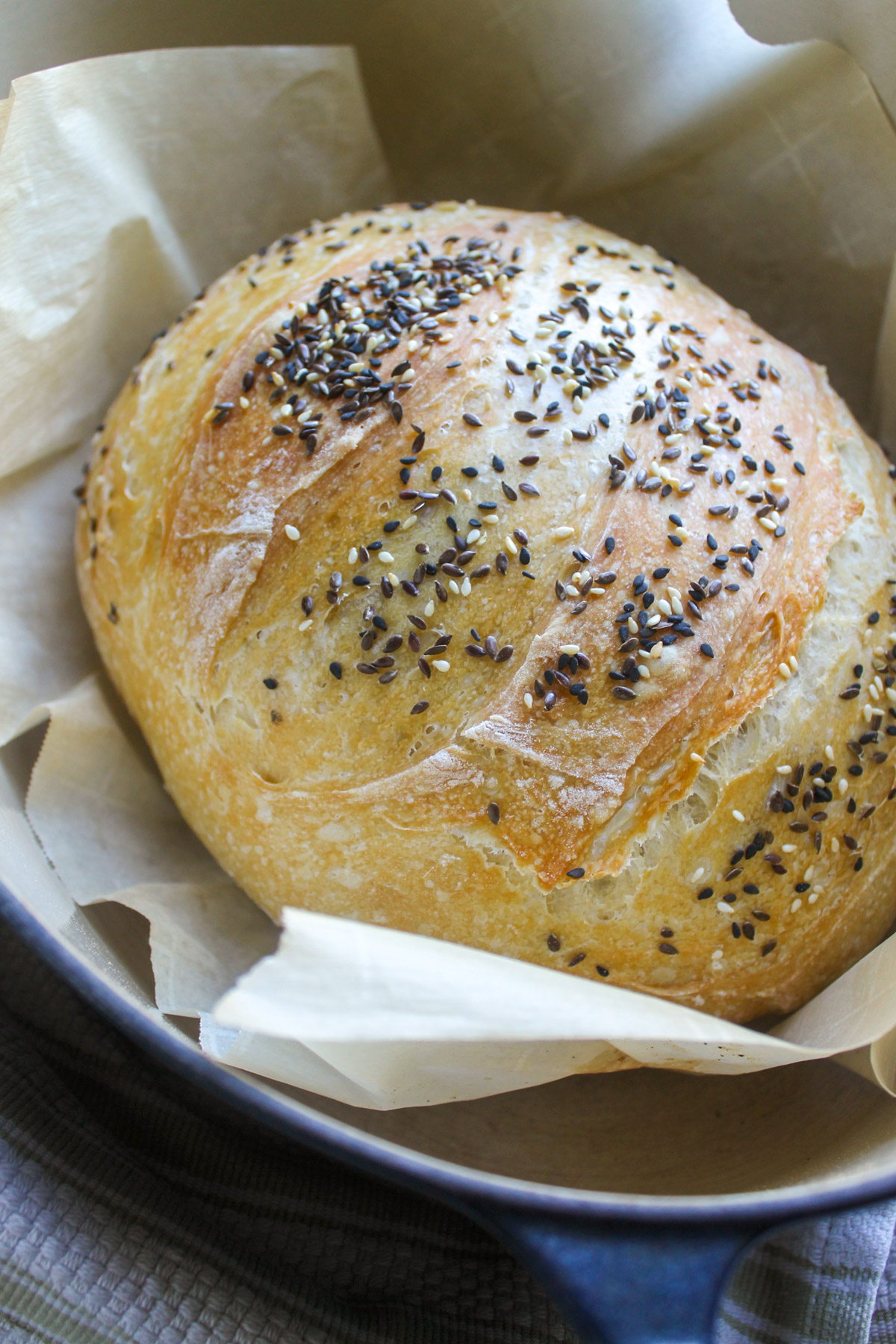 A loaf of seedy bread in a Dutch oven on parchment paper.
