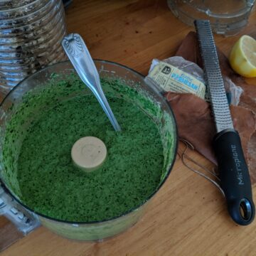 A food processor with pesto and a microplane with Parmesan cheese.