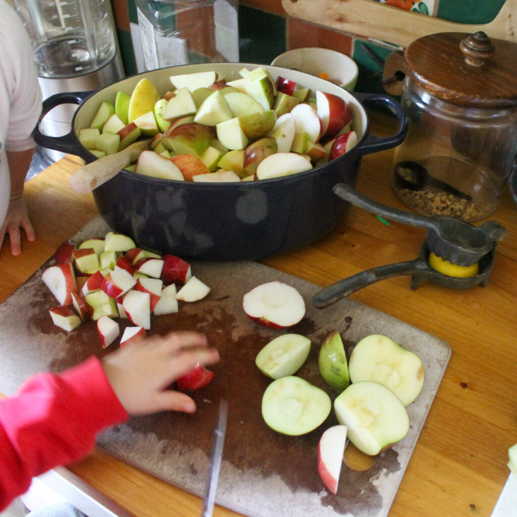 Adding sliced apples to a pot for applesauce.