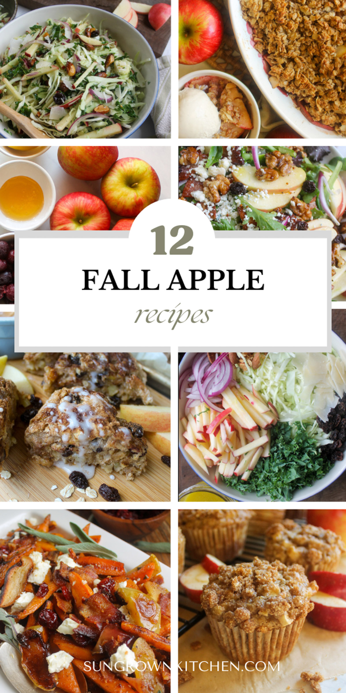 Apple recipes including muffins, salads, side dishes and desserts.