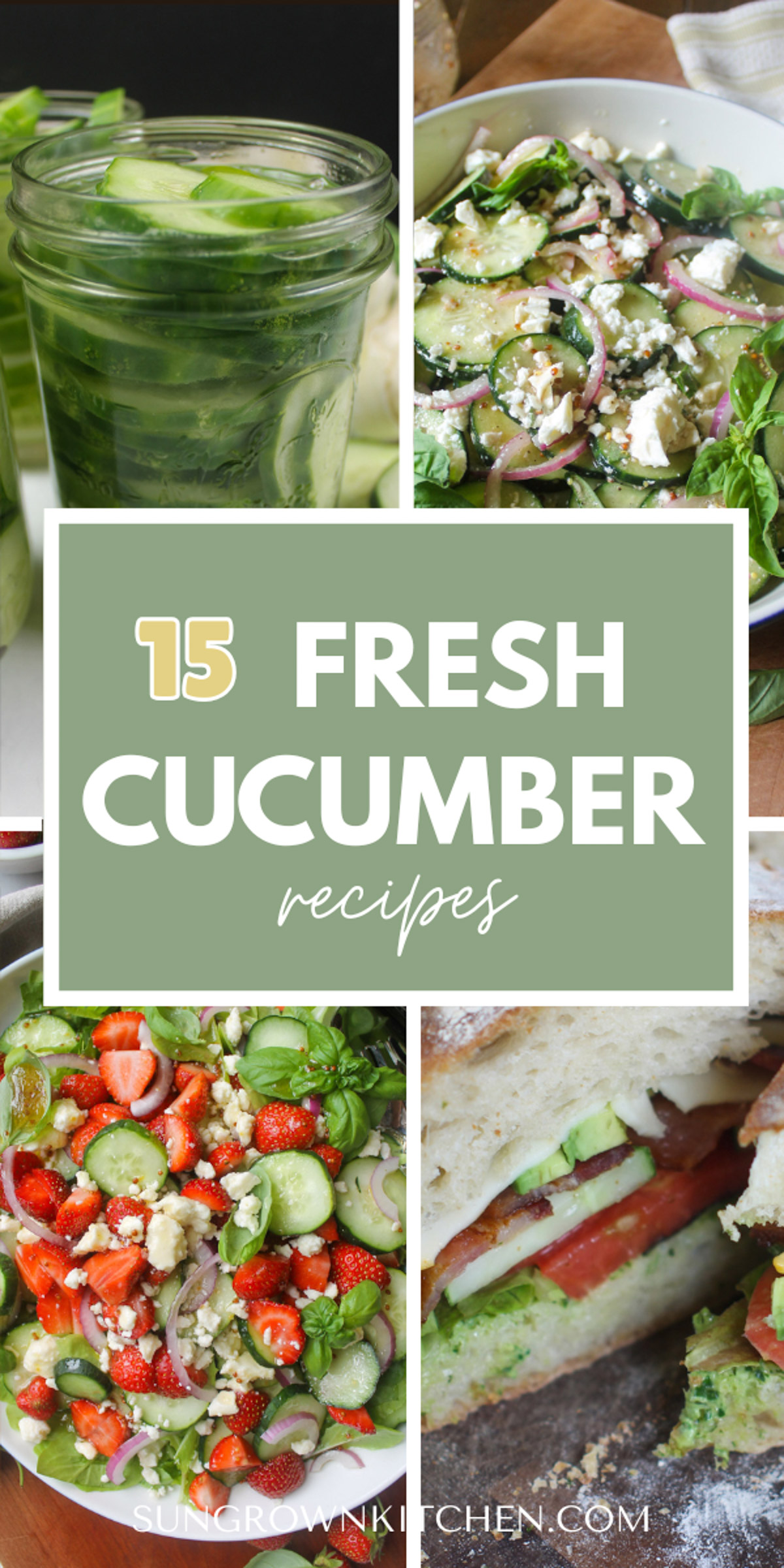 15 Fresh Cucumber Recipes from the garden.