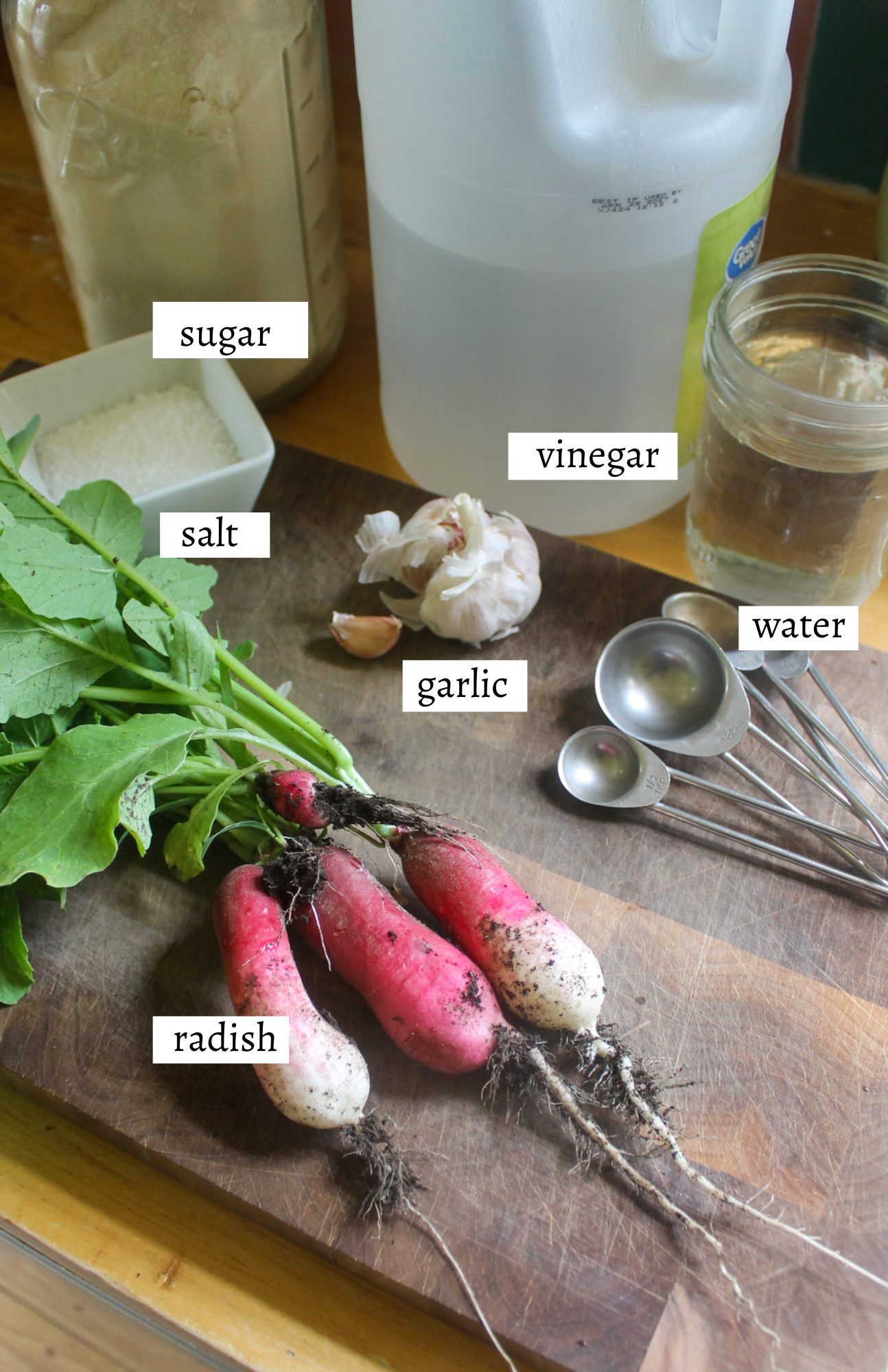 Labeled ingredients for Quick Pickled Radishes.